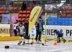 OÖ Eissporttage am 19.2.2018